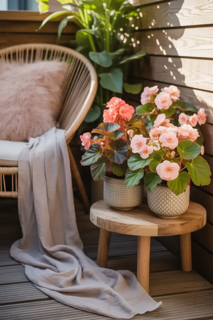 Small apartment balcony corner with begonias blooming in blush pink and coral tones, planted in textured ceramic pots sitting on a wooden plant stand beside a cozy woven chair with soft beige cushion, warm afternoon sunlight glowing across natural wood decking, light linen throw draped gently across chair, soft shadows from leaves, peaceful feminine Pinterest style balcony corner with layered textures and relaxing atmosphere.