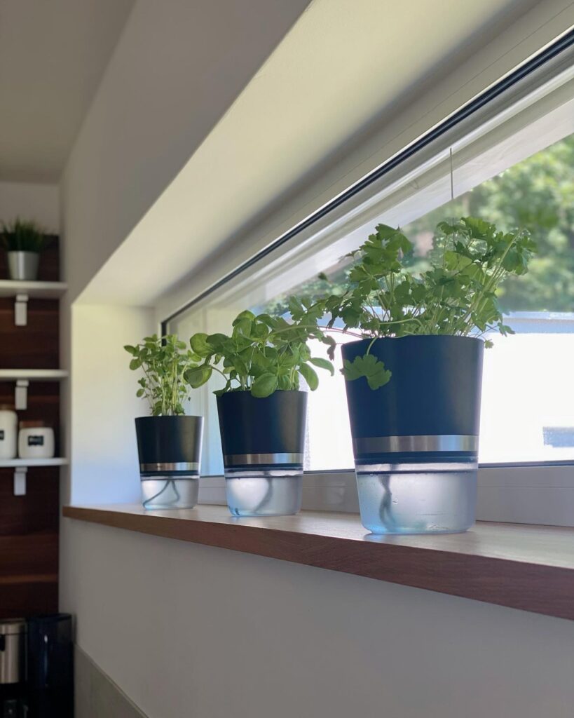 Window Herb Garden Shelf
