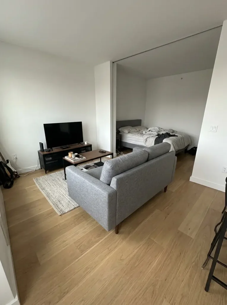 Float the Couch to Divide a Studio Apartment