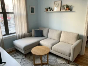 Small Apartment Couch Layout Ideas for Tiny Homes Now